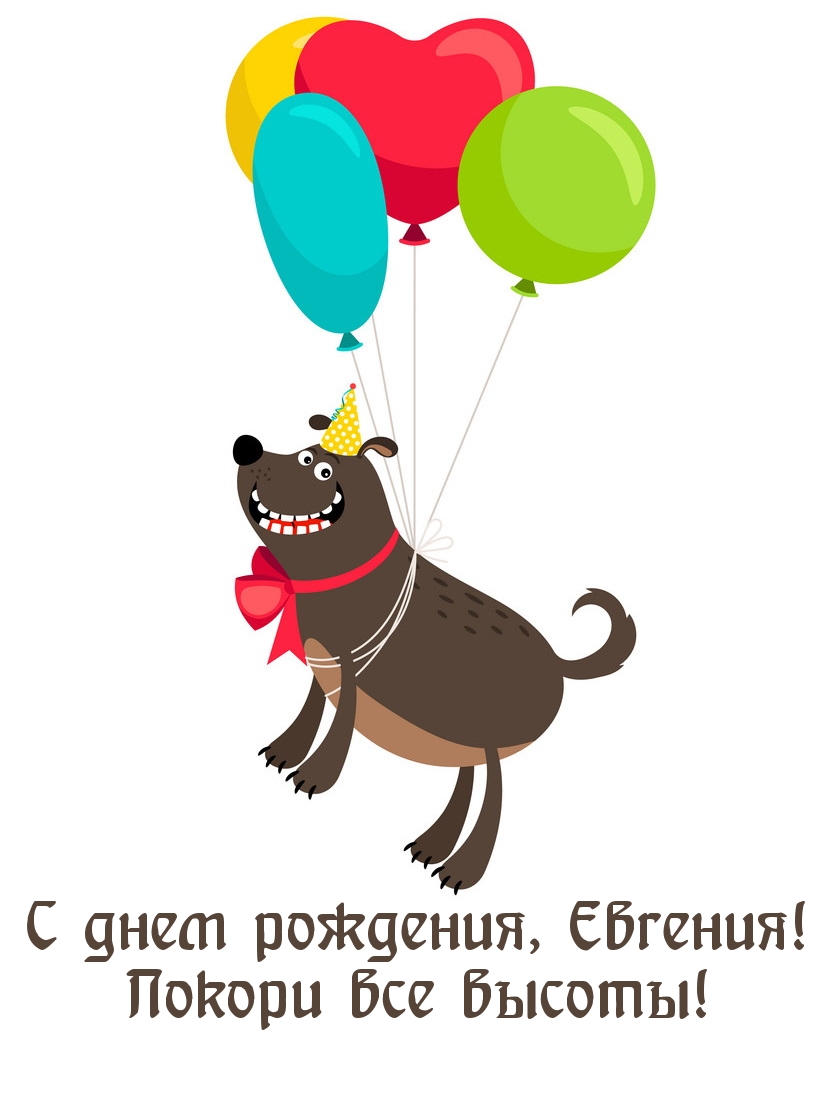 Happy Birthday собака