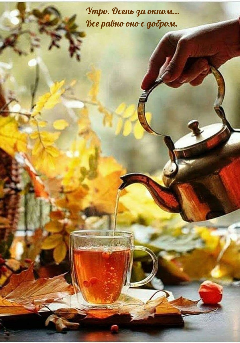 Картинка добро осеннее утро картинки. Осенний чай. Осеннее чаепитие. Доброе утро осень. С добрым осенним утром.