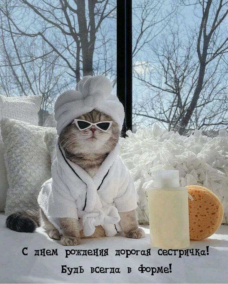     !    ! 