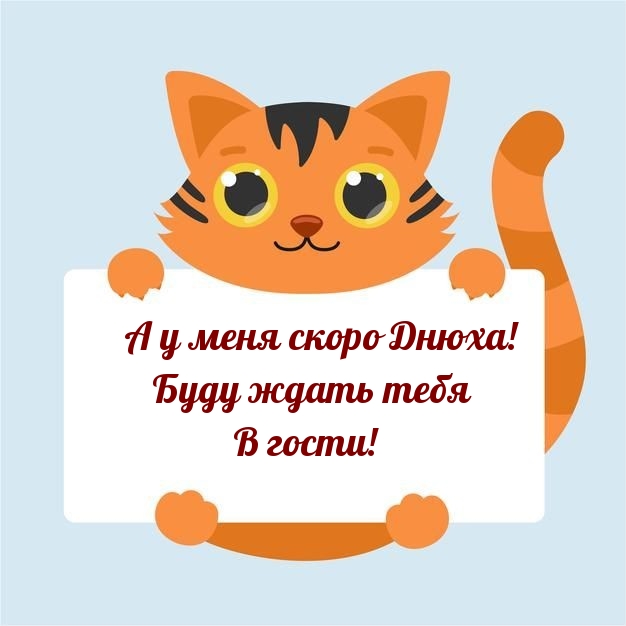     !     !