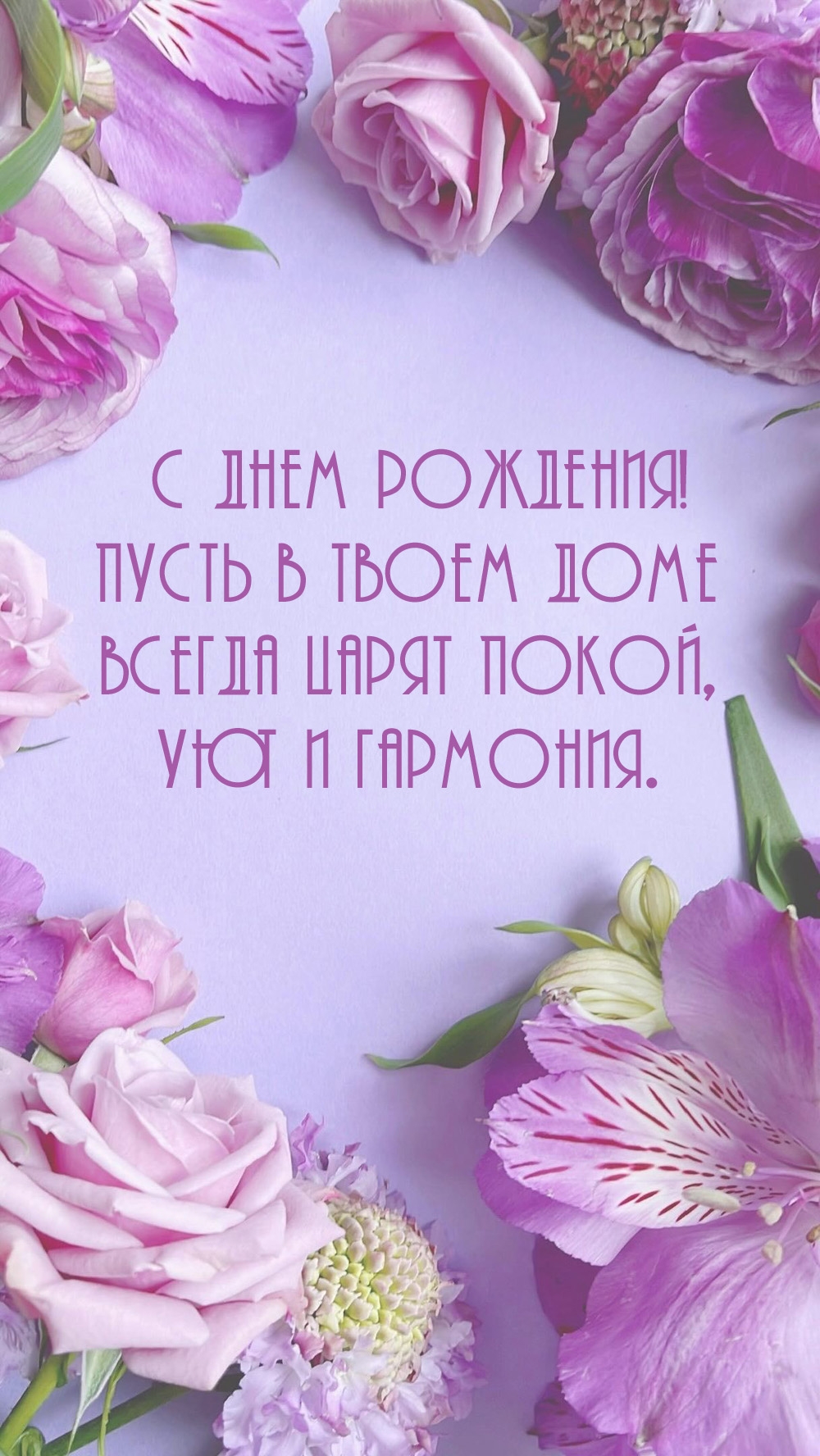 � ���� ��������! ����� � ����� ���� ����� �����, ��� � ��������.   