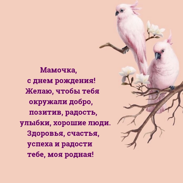 ,   ! ,    