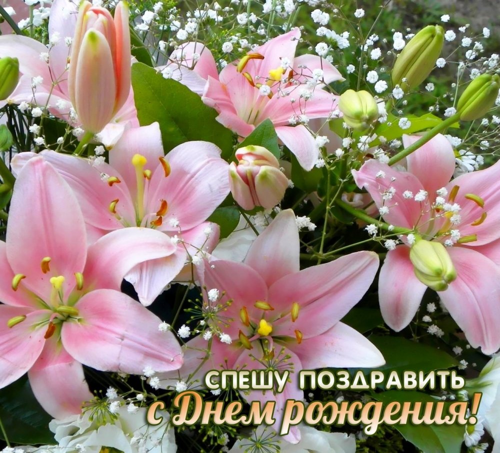 Открыть в полном размере Спешу поздравить с Днем рождения!