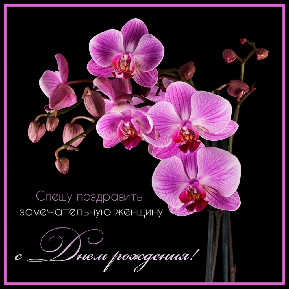 Открыть в полном размере Спешу поздравить замечательную женщину с Днем рождения!